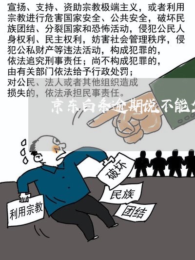 京东白条逾期说不能坐飞机 京东白条逾期说不能坐飞机