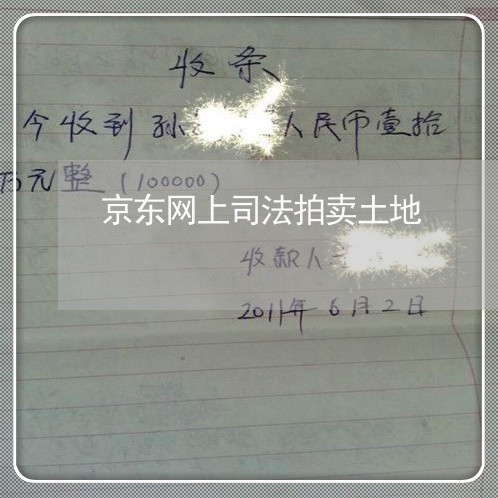 京东网上司法拍卖土地 京东网上司法拍卖土地