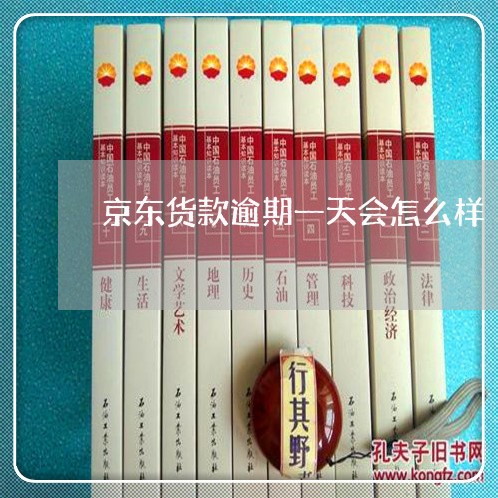 京东货款逾期一天会怎么样 京东货款逾期一天会怎么样