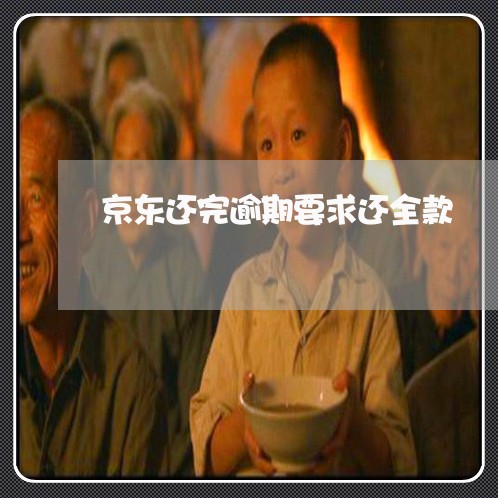 京东还完逾期要求还全款 京东还完逾期要求还全款