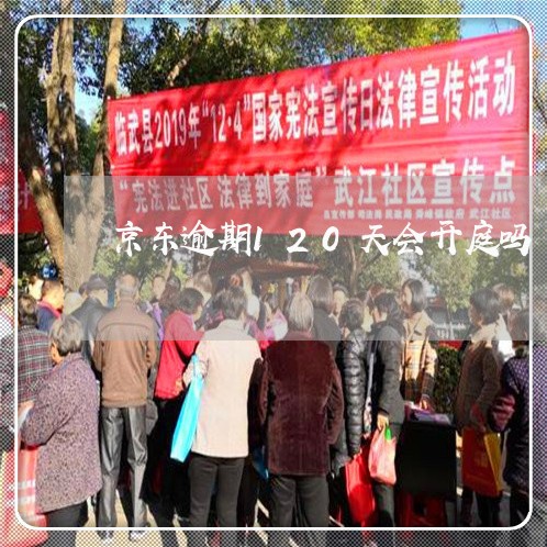 京东逾期120天会开庭吗