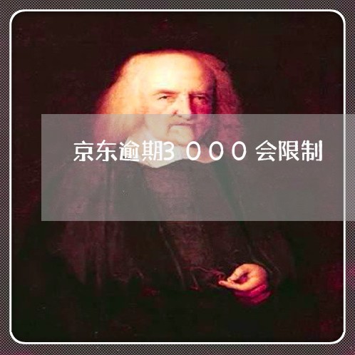 京东逾期3000会限制/2023120927240