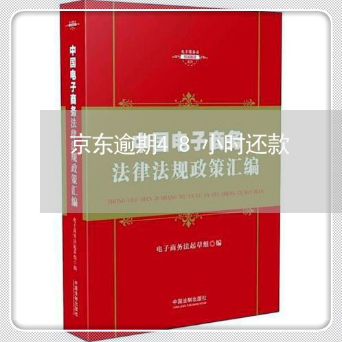 京东逾期48小时还款 京东逾期48小时还款