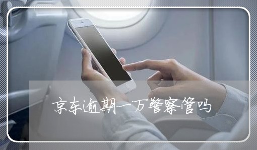 京东逾期一万警察管吗 京东逾期一万警察管吗