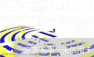 京东逾期一天信用卡/2023020474837