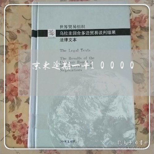 京东逾期一年10000 京东逾期一年10000