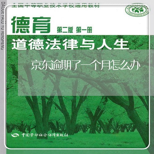 京东逾期了一个月怎么办 京东逾期了一个月怎么办