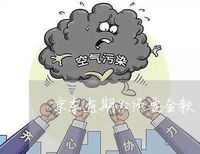 京东逾期必须要全款 京东逾期必须要全款