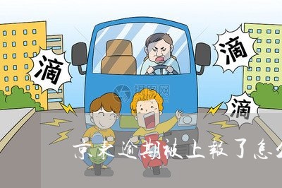 京东逾期被上报了怎么办 京东逾期被上报了怎么办