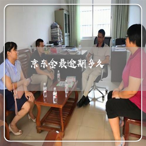京东金最逾期多久