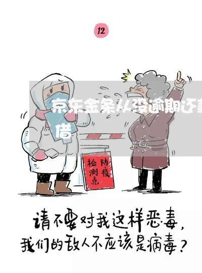 京东金条从没逾期还款为什么有额度却不能借