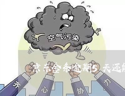 京东金条逾期5天还能借款吗