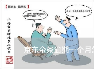 京东金条逾期一个月怎么解决 京东金条逾期一个月怎么解决