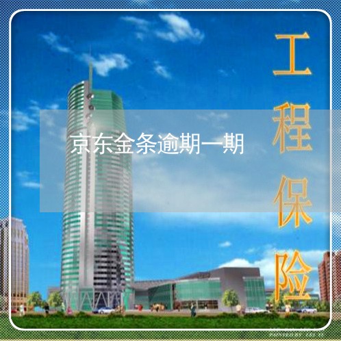 京东金条逾期一期