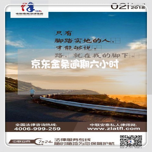京东金条逾期六小时 京东金条逾期六小时