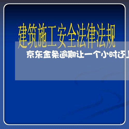 京东金条逾期让一个小时还上 京东金条逾期让一个小时还上