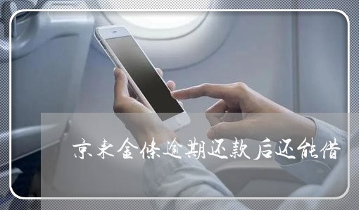 京东金条逾期还款后还能借 京东金条逾期还款后还能借