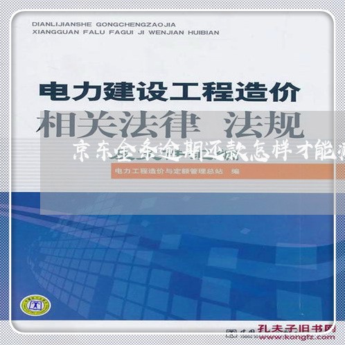 京东金条逾期还款怎样才能减免滞纳金/2023121560491