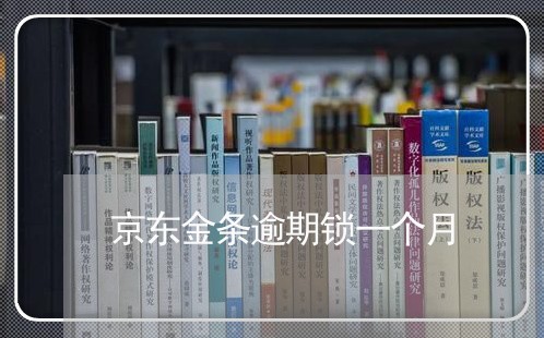 京东金条逾期锁一个月