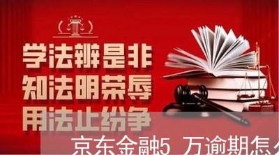 京东金融5万逾期怎么办 京东金融5万逾期怎么办