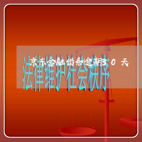 京东金融借条逾期30天 京东金融借条逾期30天