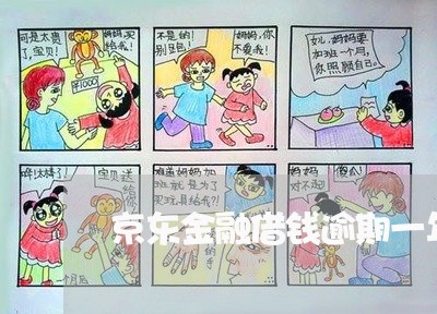 京东金融借钱逾期一年多 京东金融借钱逾期一年多