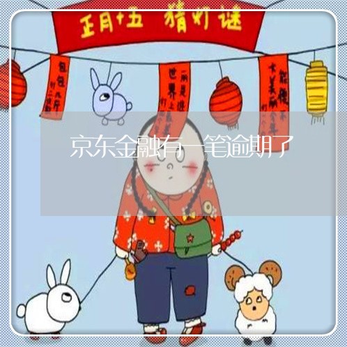京东金融有一笔逾期了