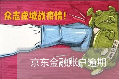 京东金融账户逾期 京东金融账户逾期