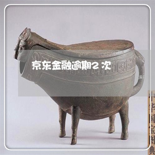 京东金融逾期2次
