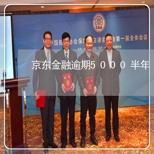 京东金融逾期5000半年