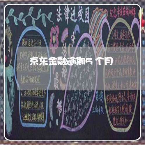 京东金融逾期5个月 京东金融逾期5个月