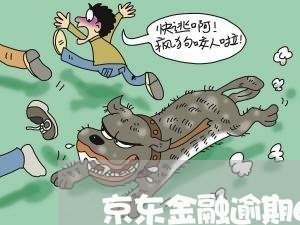 京东金融逾期600天怎么样