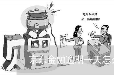京东金融逾期一天怎么办 京东金融逾期一天怎么办