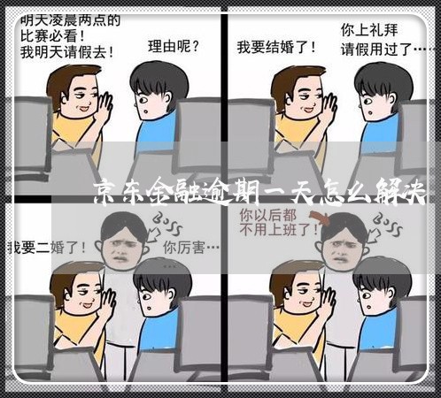 京东金融逾期一天怎么解决 京东金融逾期一天怎么解决