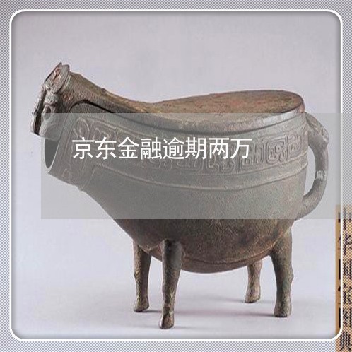京东金融逾期两万
