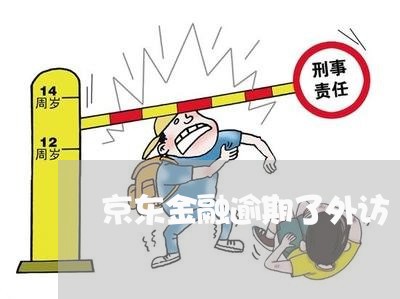 京东金融逾期了外访 京东金融逾期了外访
