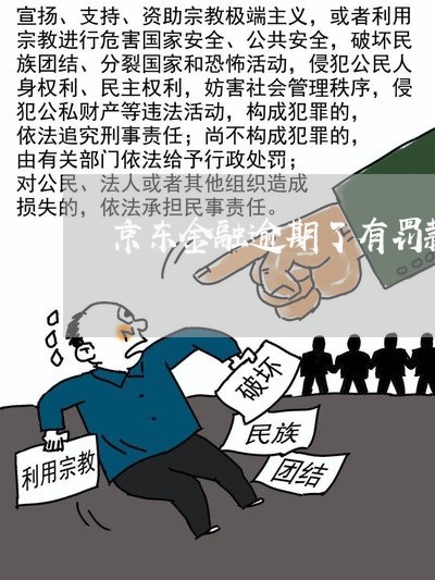 京东金融逾期了有罚款吗 京东金融逾期了有罚款吗