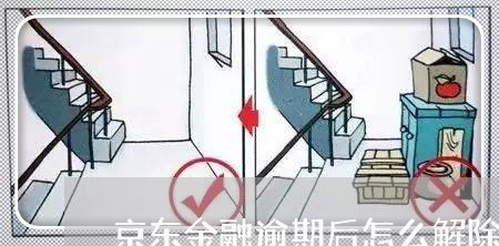 京东金融逾期后怎么解除