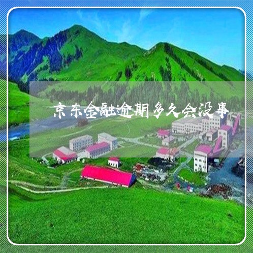 京东金融逾期多久会没事