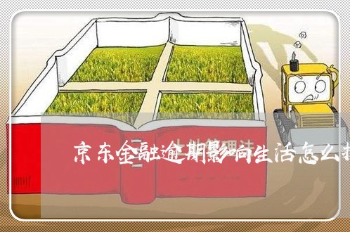京东金融逾期影响生活怎么投诉 京东金融逾期影响生活怎么投诉