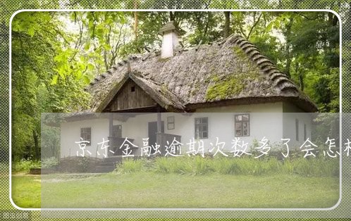 京东金融逾期次数多了会怎样