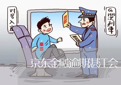 京东金融逾期湛江会上门吗