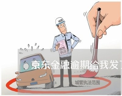 京东金融逾期给我发了快件 京东金融逾期给我发了快件