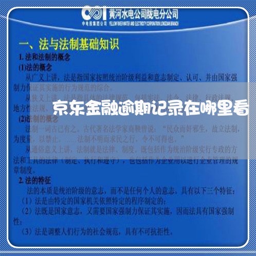 京东金融逾期记录在哪里看