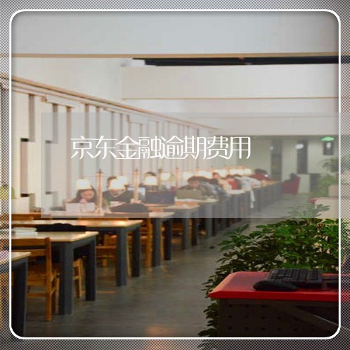 京东金融逾期费用