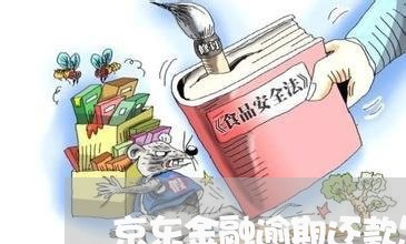 京东金融逾期还款怎么办 京东金融逾期还款怎么办
