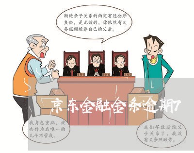 京东金融金条逾期7