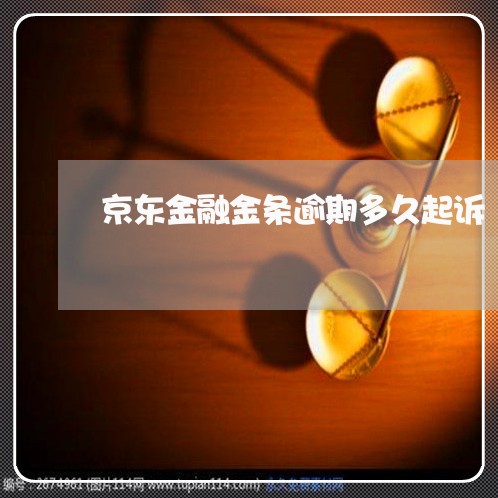 京东金融金条逾期多久起诉