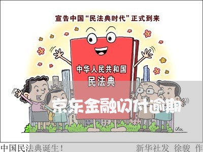 京东金融闪付逾期