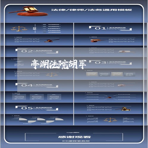 亭湖法院胡军 亭湖法院胡军